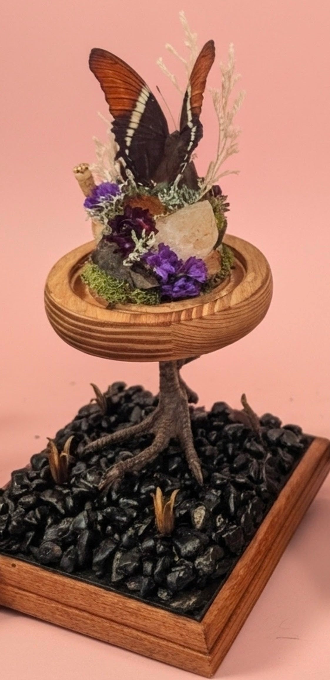 How Queer? Oddities "Baba Yaga II" *local pickup only