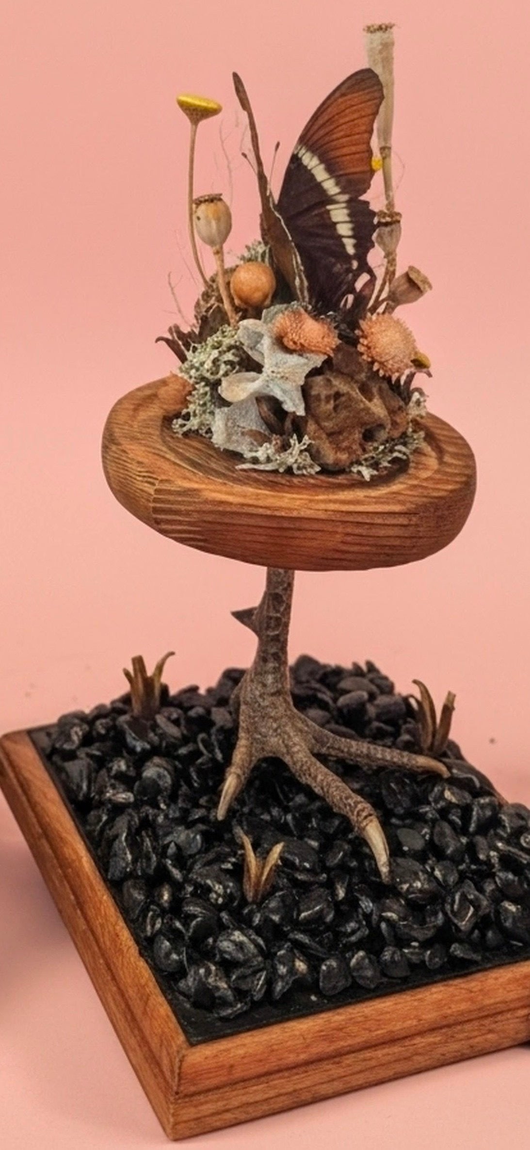 How Queer? Oddities "Baba Yaga I" *local pickup only