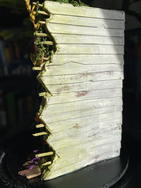 Corie Steinbrink "From Ruins"