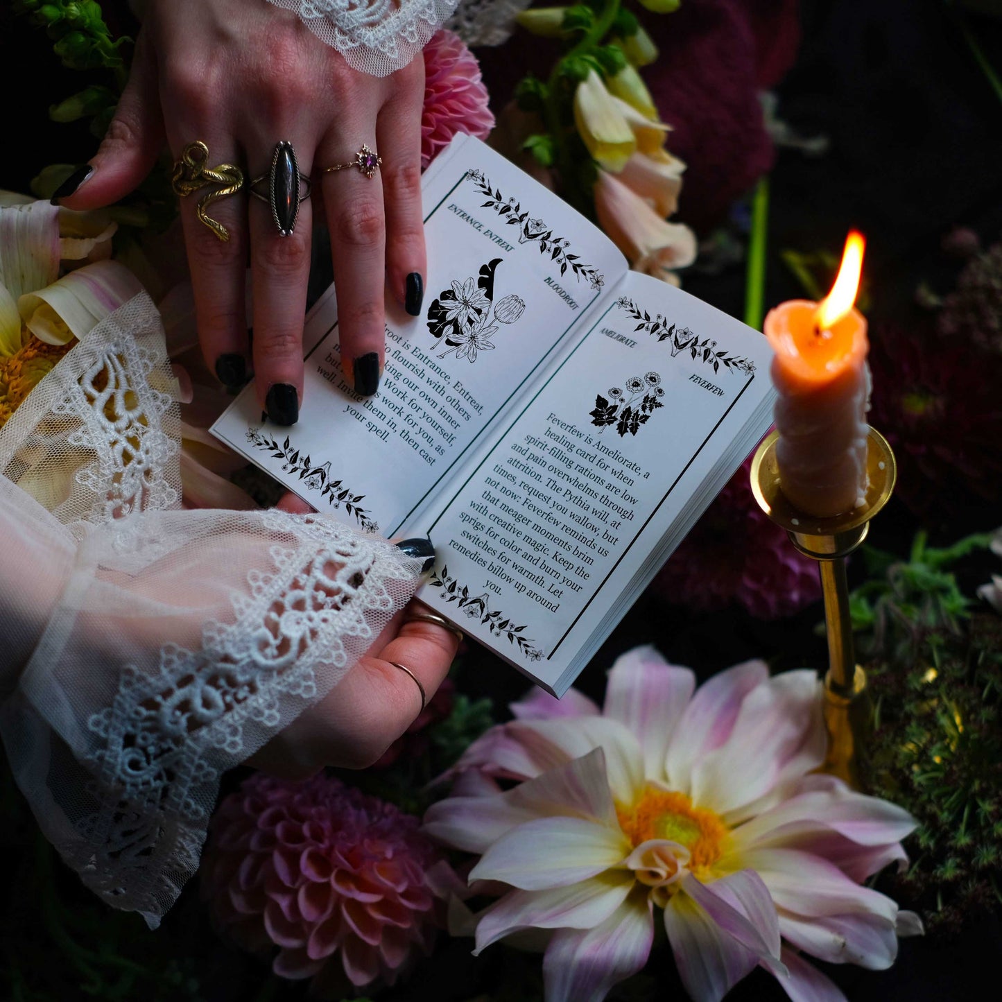 The Pythia Botanica Oracle Deck + Guidebook