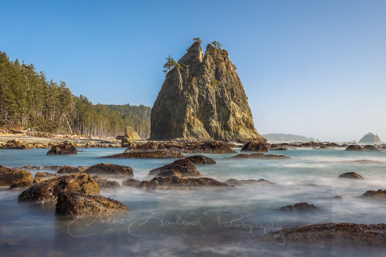 Home: Water of Western Washington by Alex Garland