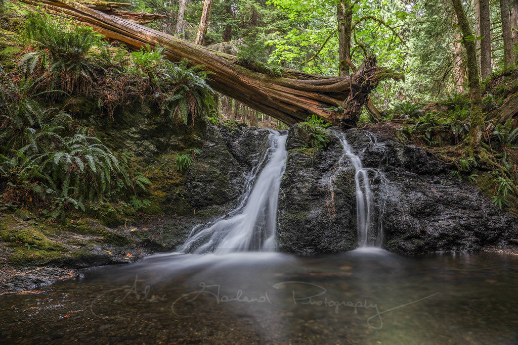 Home: Water of Western Washington by Alex Garland