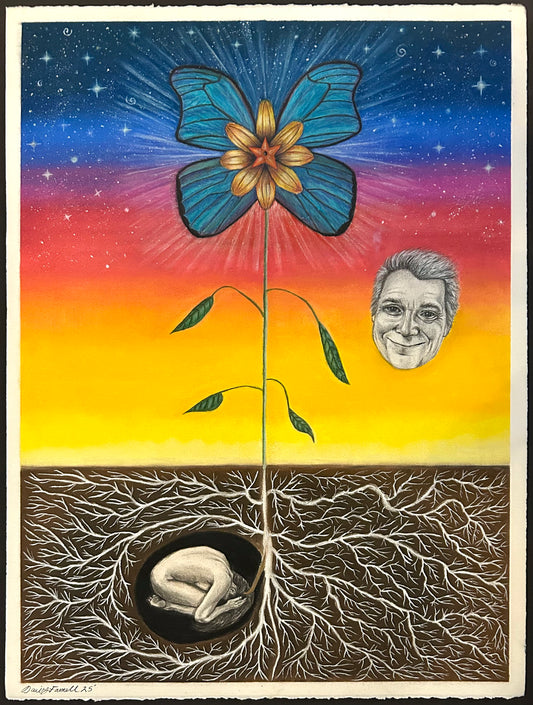 Daisy Farrell "Seed to Star" (Online)