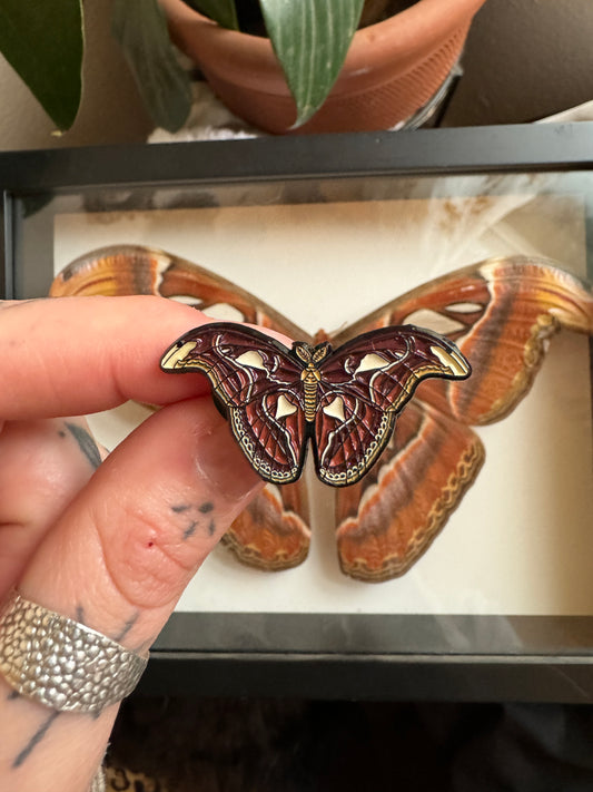 De polilla y llama "Atlas Moth" Pin de esmalte