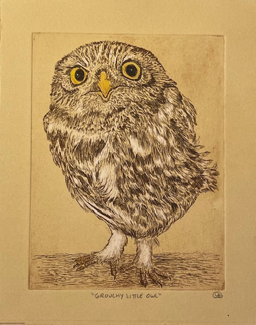 Lynn Rosskamp "Grouchy Little Owl"