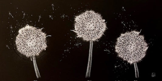 Lynn Rosskamp "3 Dandelions" Etching