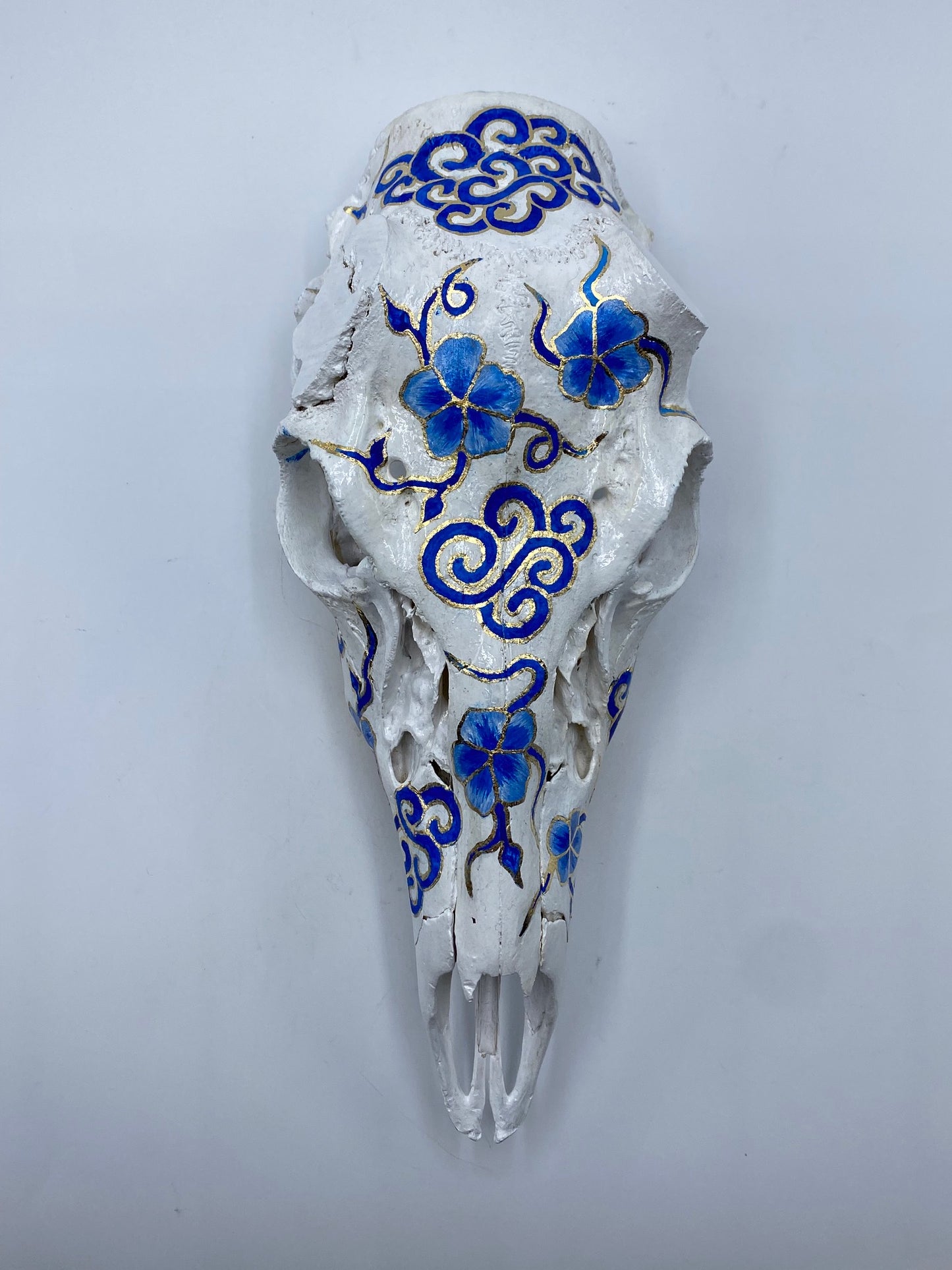 Codyak Dunham "Porcelain" Roe Deer Skull