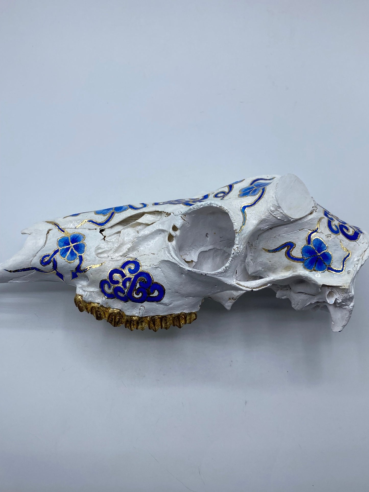 Codyak Dunham "Porcelain" Roe Deer Skull