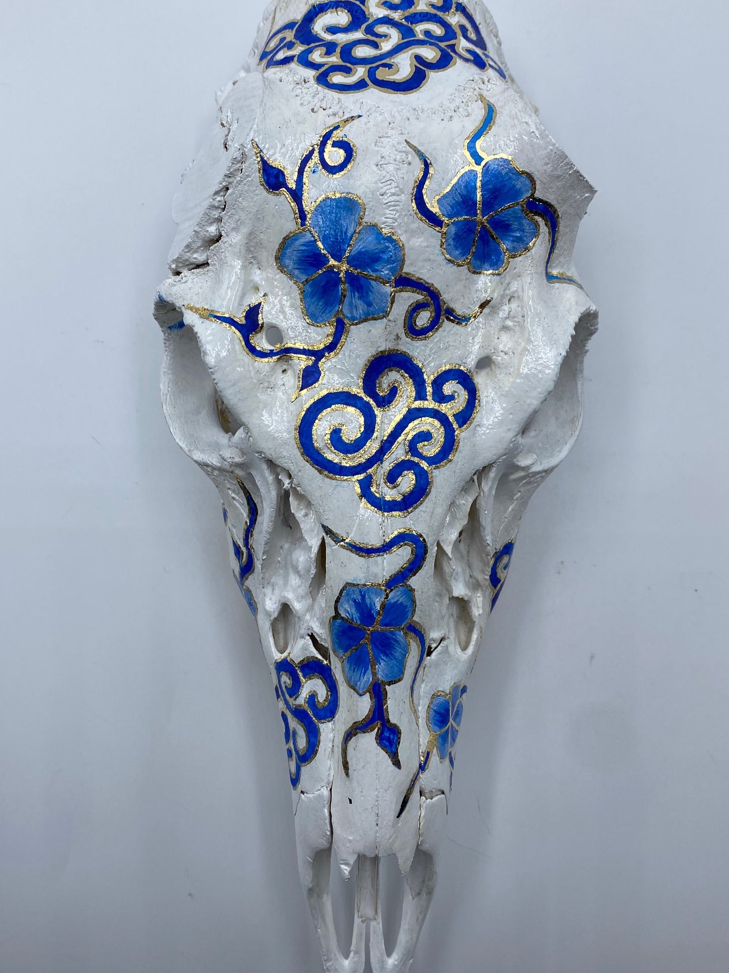 Codyak Dunham "Porcelain" Roe Deer Skull