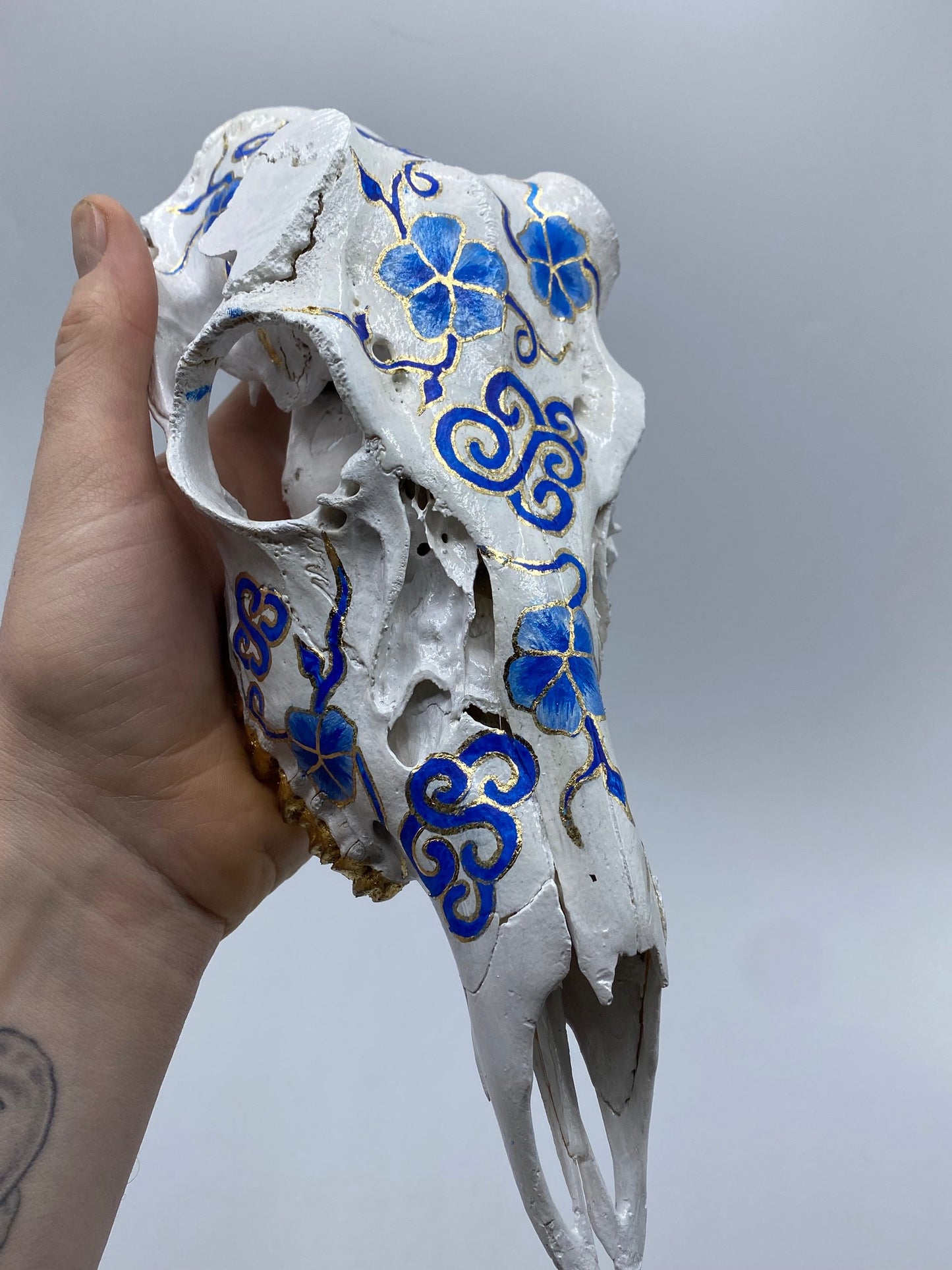 Codyak Dunham "Porcelain" Roe Deer Skull