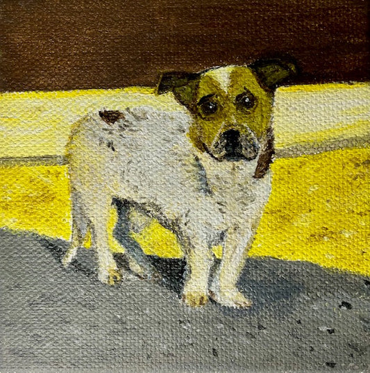 Hong Hoang "Hector the Old Street Dog"