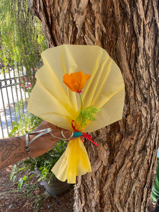 Xōchitlpili "California Poppy, Eschscholzia california"