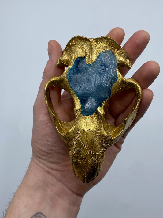 Codyak Dunham "Beaver" Skull Geode