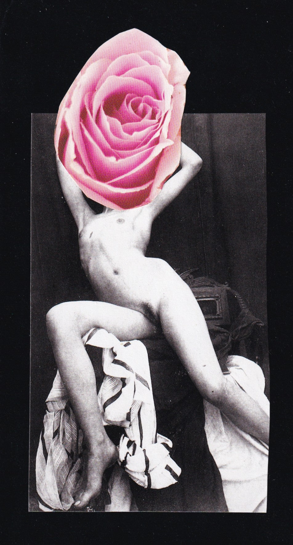 Hannah Zizza "Bloom"