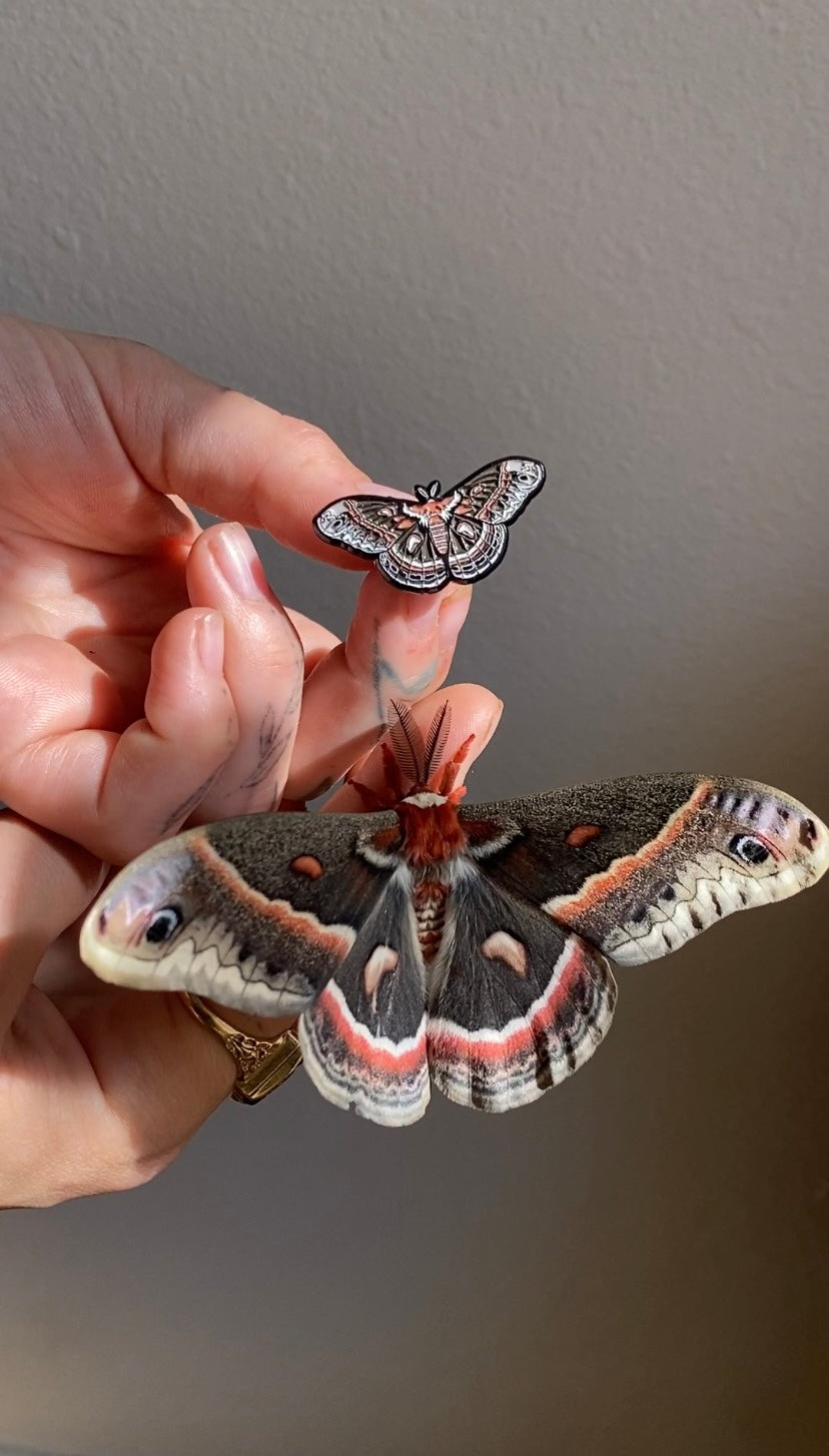 Of Moth and Flame "Cecropia Moth" Enamel Pin