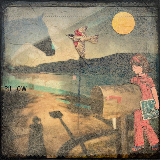 Debra Gerth "Pillow: dream, still #1"