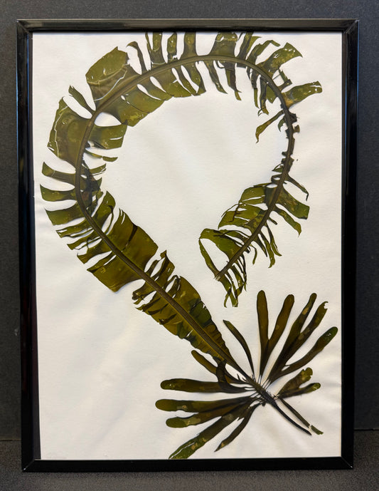 Angela Jones "Dabberlocks"