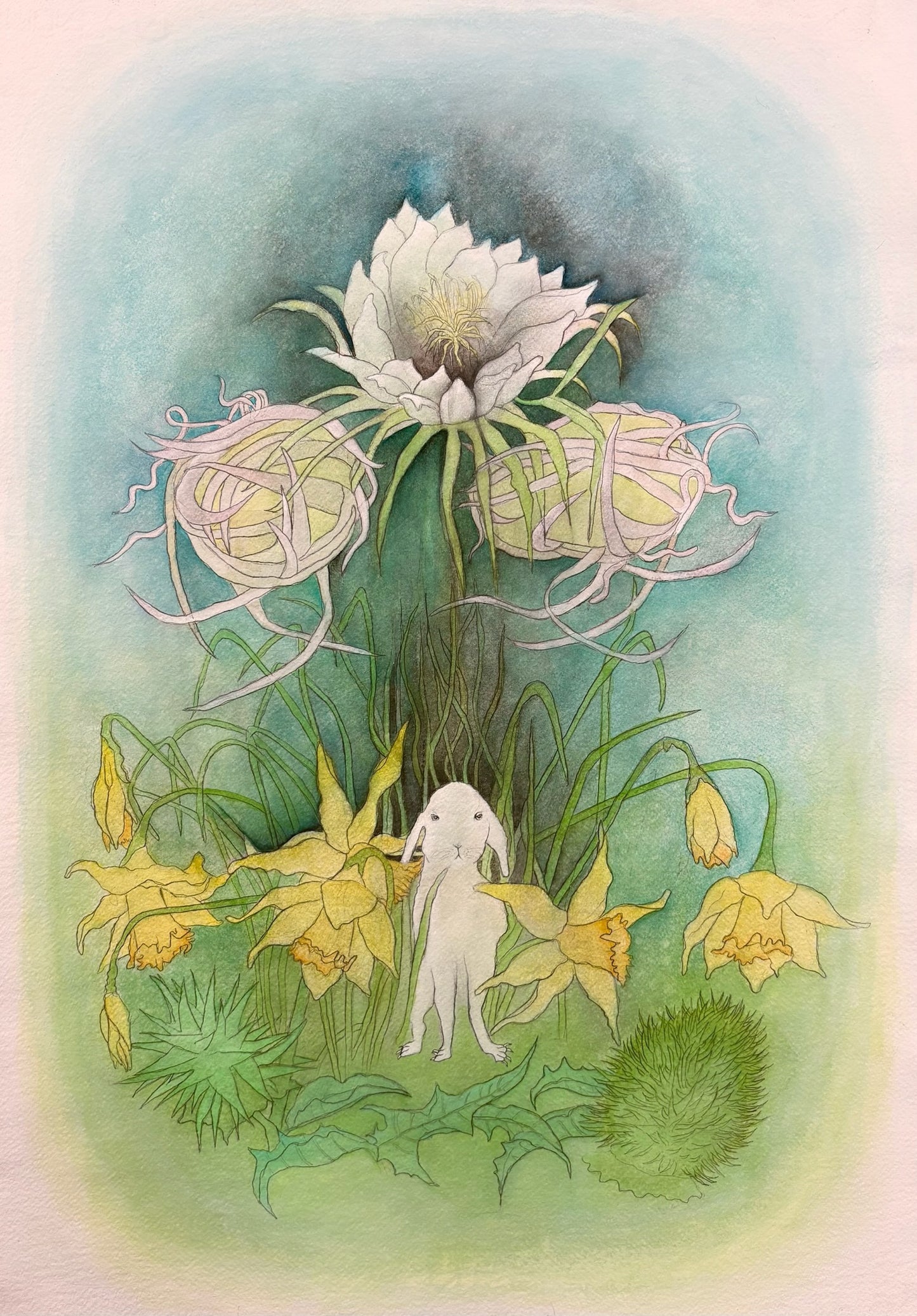 Kirsten Rae Simonsen "Queen of the Night"