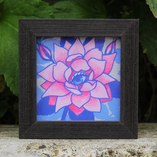 Andi Vico "Estrella Del Jardin"