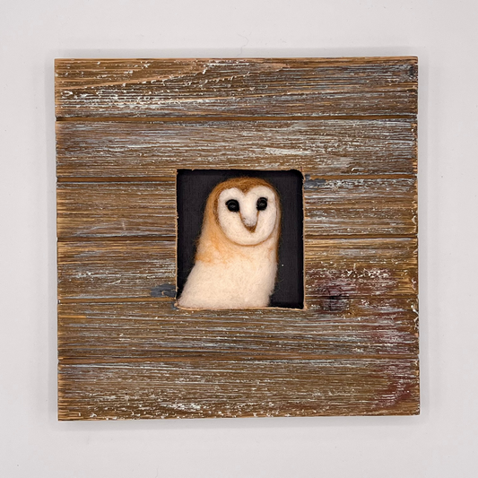 Amalia Morsi "Barn Owl"