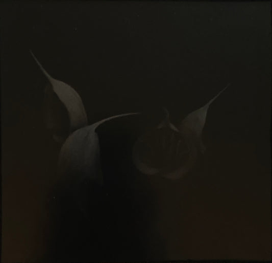 Polly Purvis "Jack-in-the-Pulpit 2"