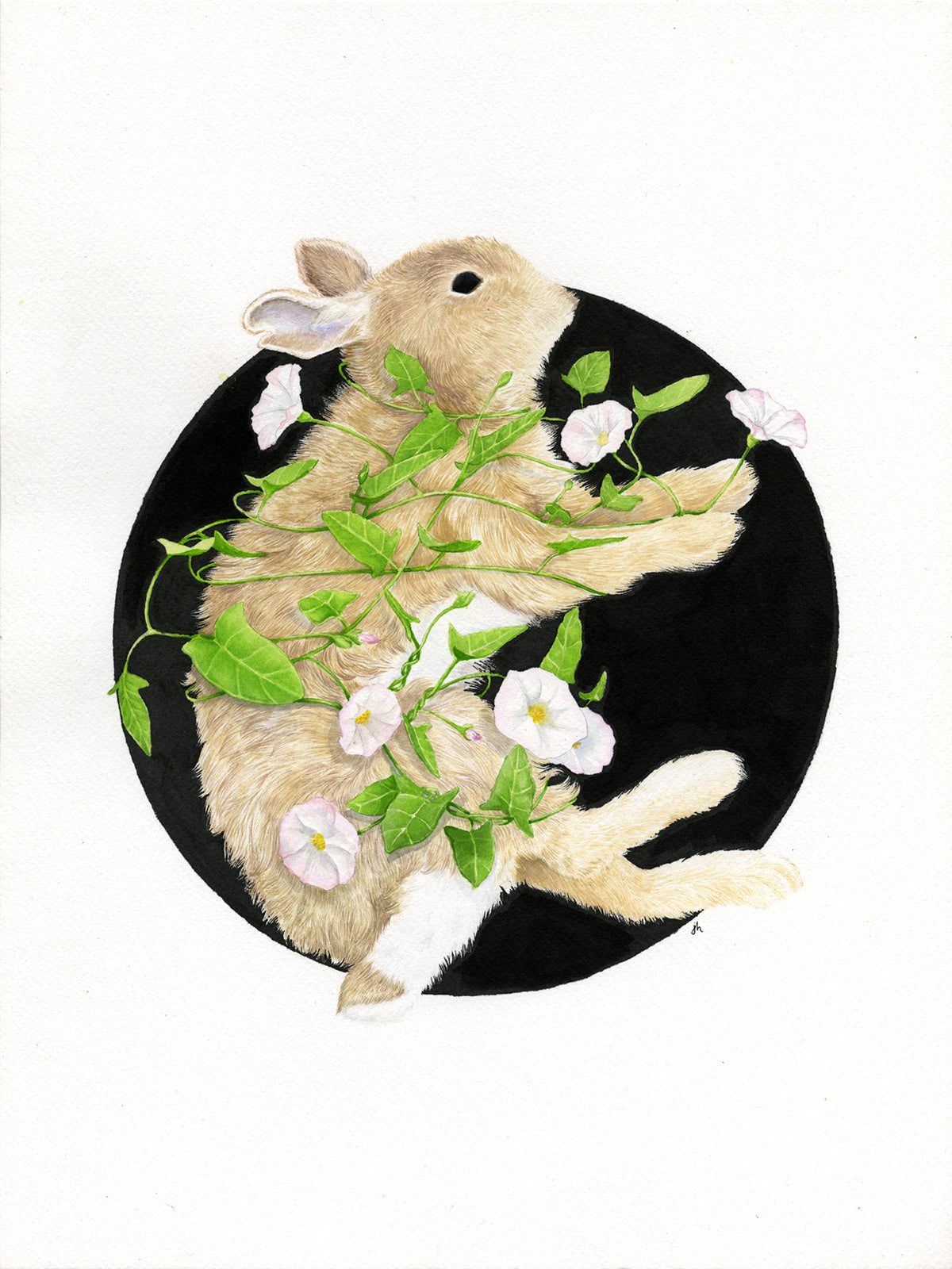 Jackie Hahn "Bind"