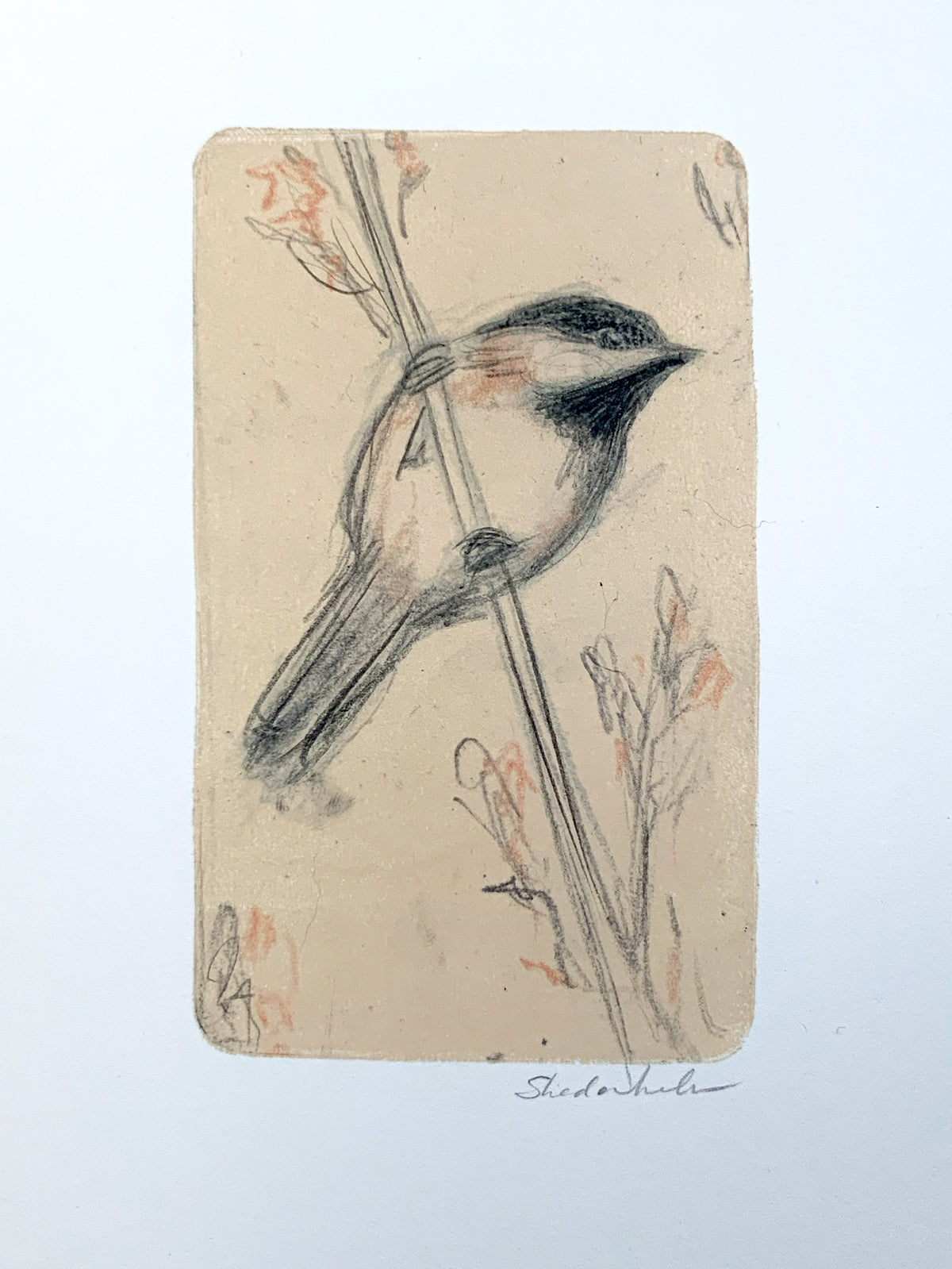Kendra Shedenhelm "Chickadee I"