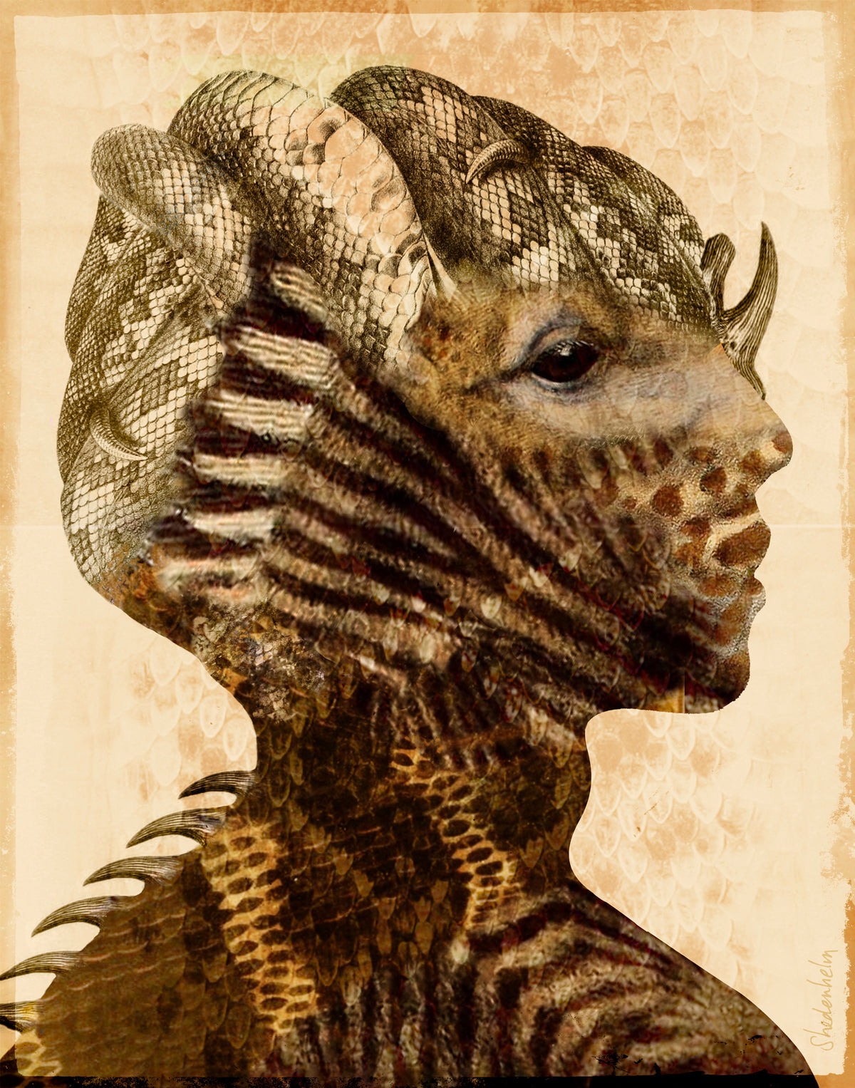 Kendra Shedenhelm "Transformaciones: Cebra"