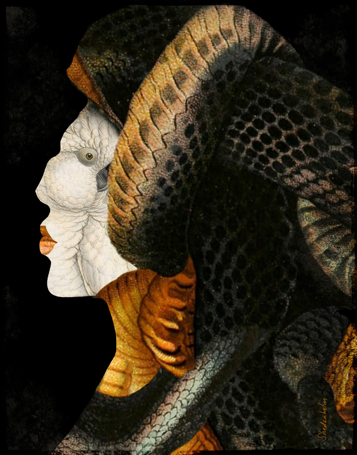 Kendra Shedenhelm "Transformations: Snakes"