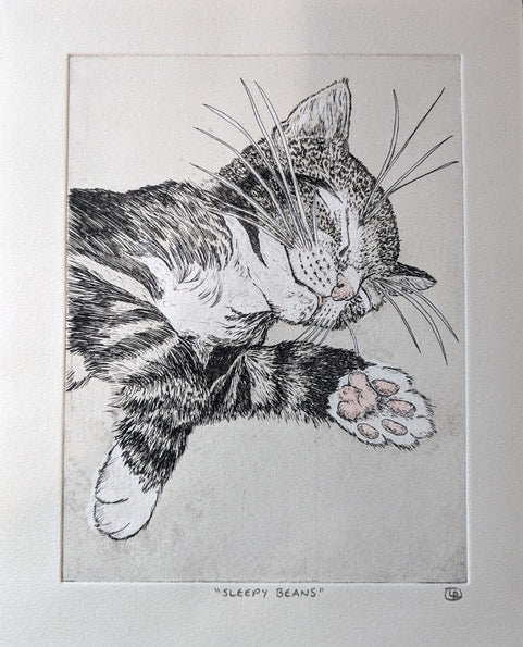 Lynn Rosskamp "Sleepy Beans"