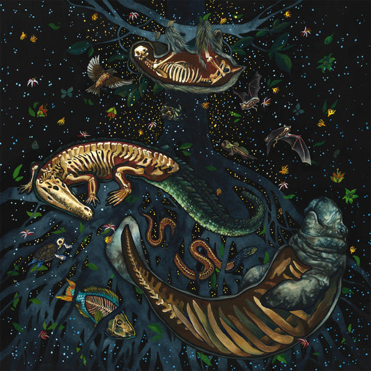 Bayla Arietta "Mangrove Habitat"