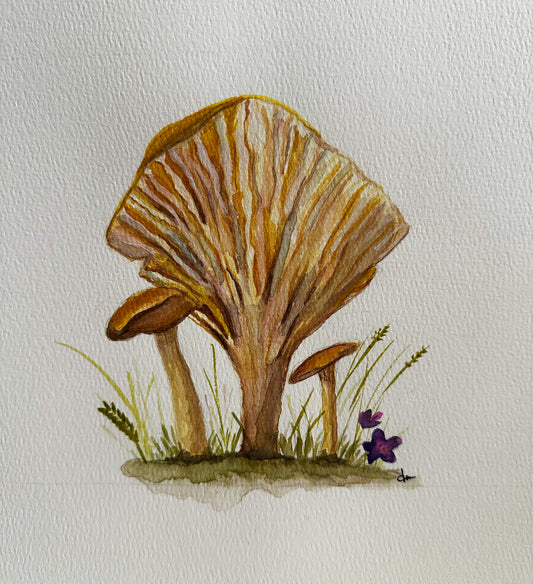 Dawn McGill "Chanterelle"