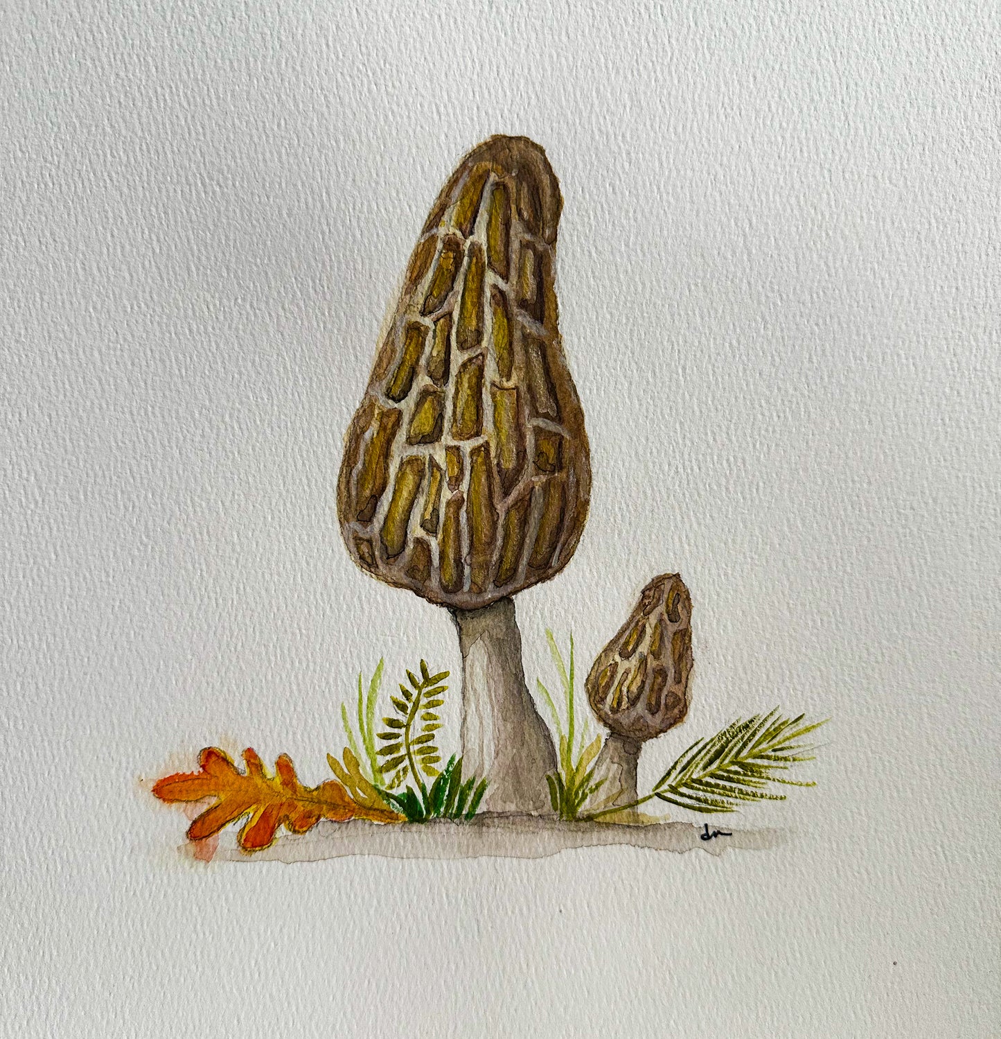 Dawn McGill "Morel"