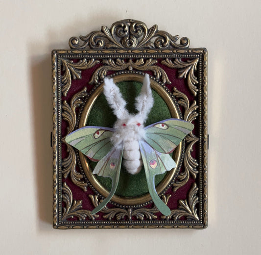 Devon Kelley "Mothman Specimen (White)"
