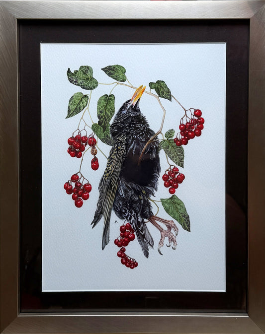 Jackie Hahn "Nightshade" (Online)