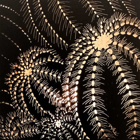 Dana Martin "Parodia magnifica II (Balloon Cactus)"