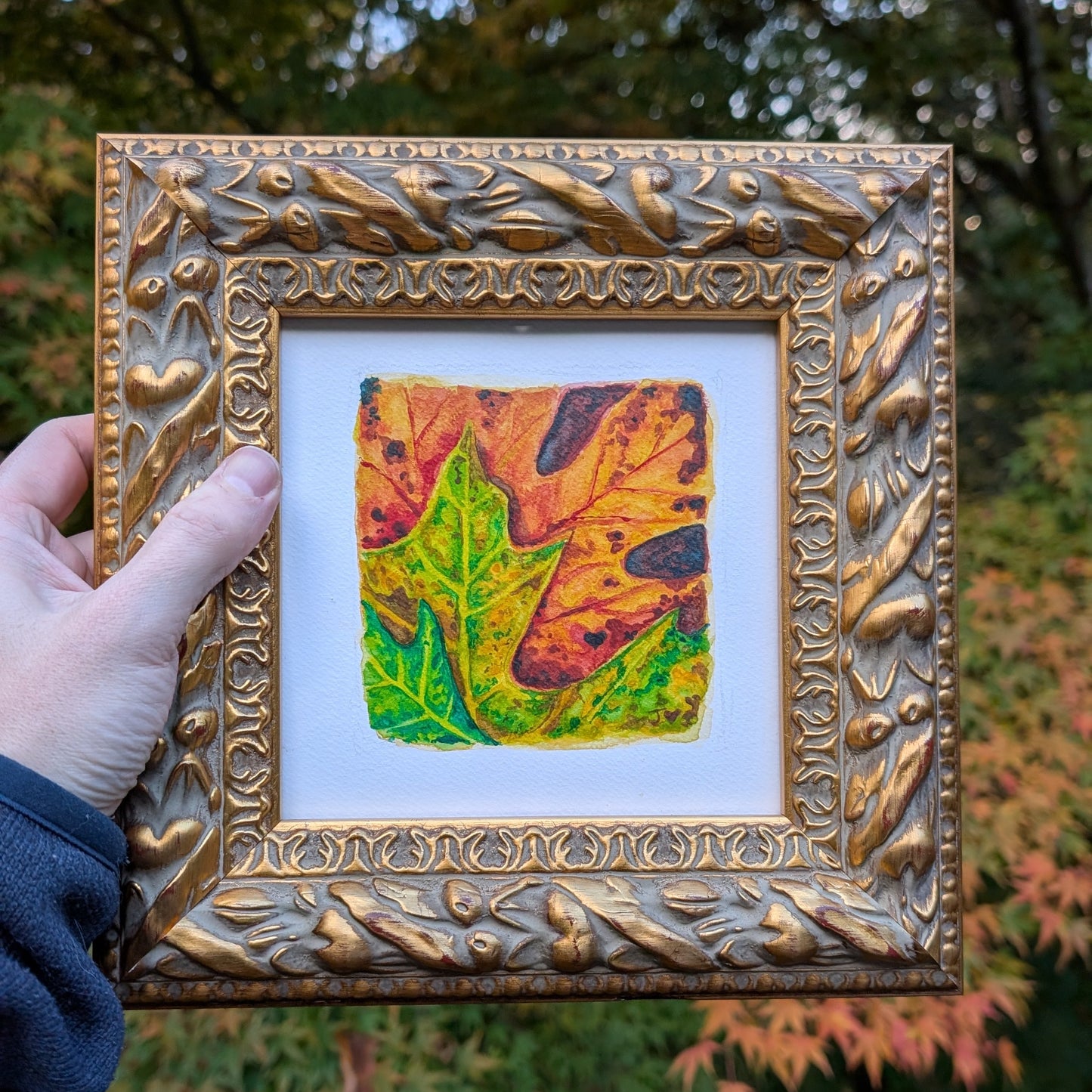 Jacob Weberg "Provisions"