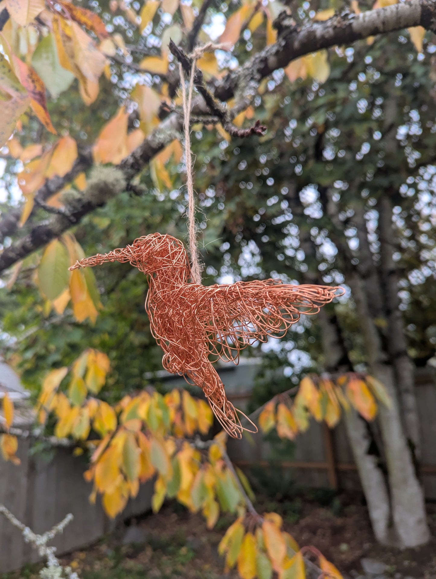 Jess Ray "Hummingbird"