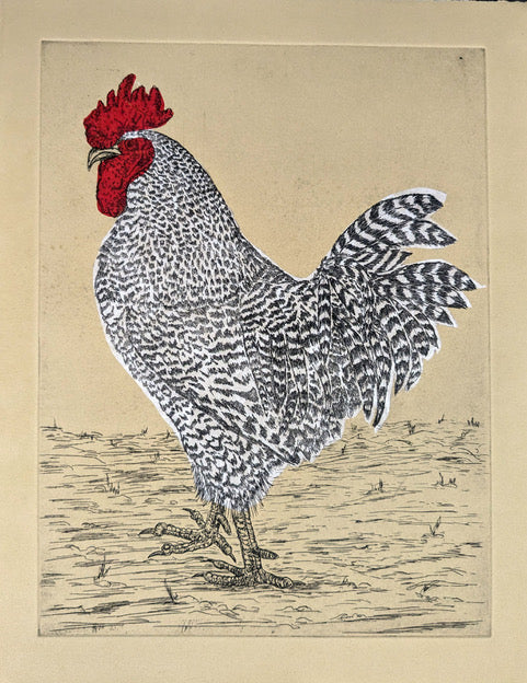 Lynn Rosskamp "Struttin"