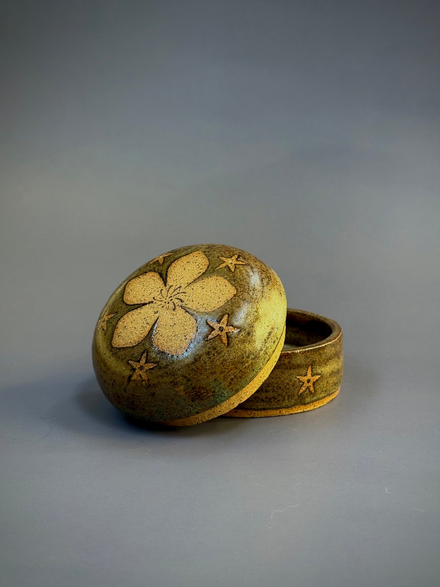 Sara Gong "Salve Jar: Saint John's Wort"