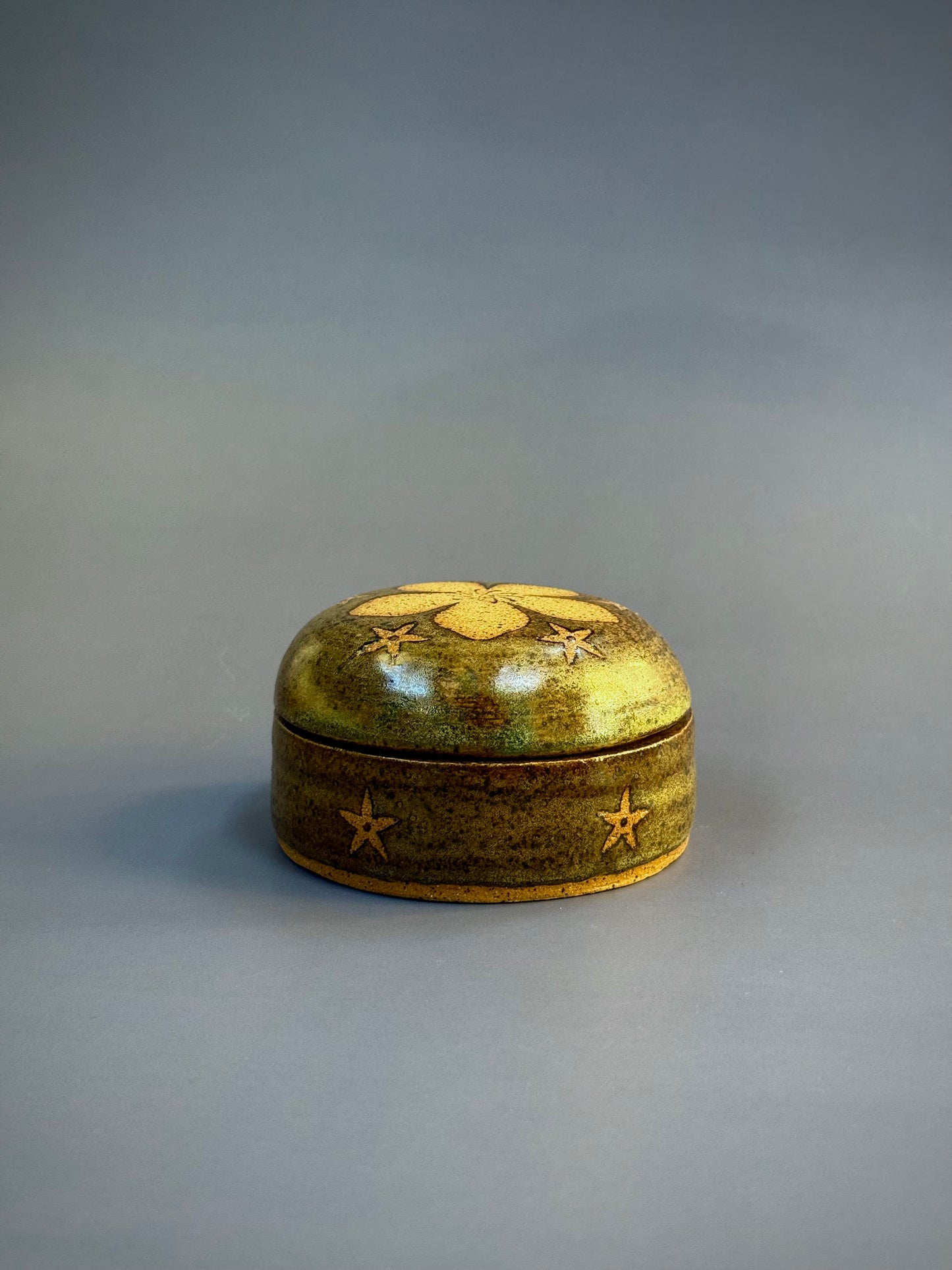 Sara Gong "Salve Jar: Saint John's Wort"
