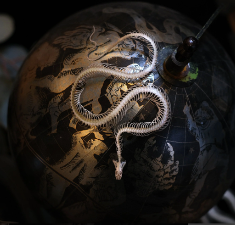 Moth & Myth "Ouroboros" Mini Snake Skeleton Set
