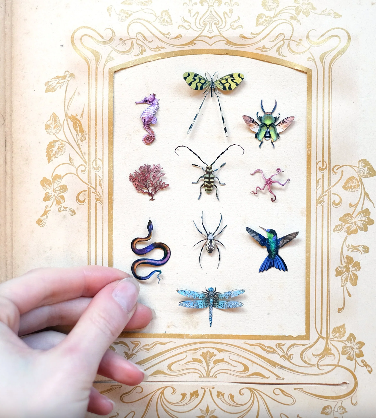 Moth & Myth "Biophilia" Micro Specimen Collection