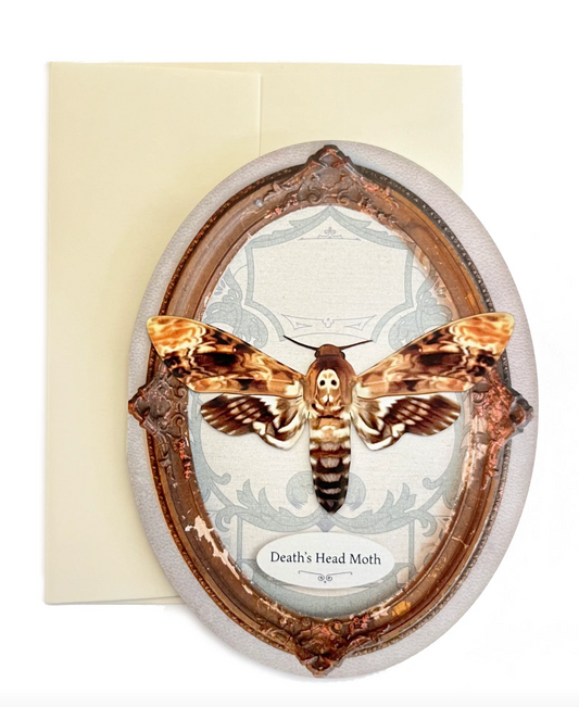 Moth & Myth "Death Head Moth" Oval Greeting Card