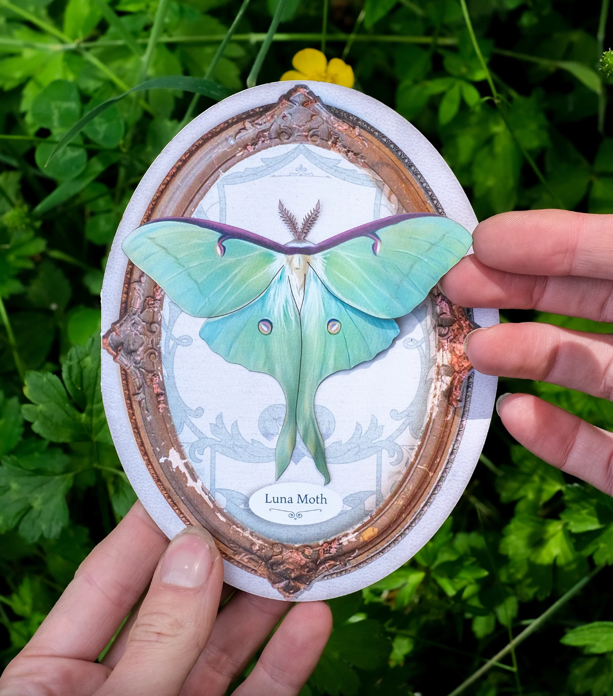 Moth & Myth "Luna Moth" Oval Greeting Card