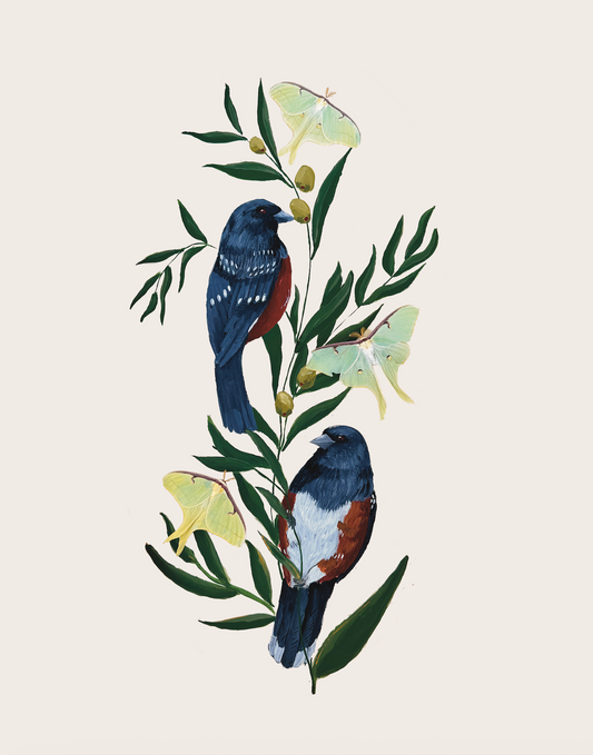Of Moth and Flame "Spotted Towhee & Luna Moths" Print