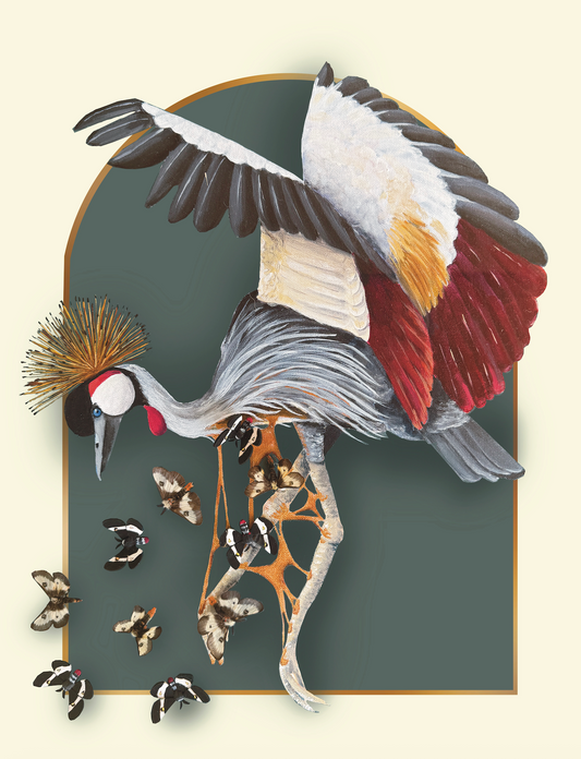 Of Moth and Flame "Grey Crowned Crane" Print