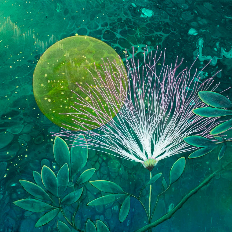 Spencer Sass "Bobinsana"