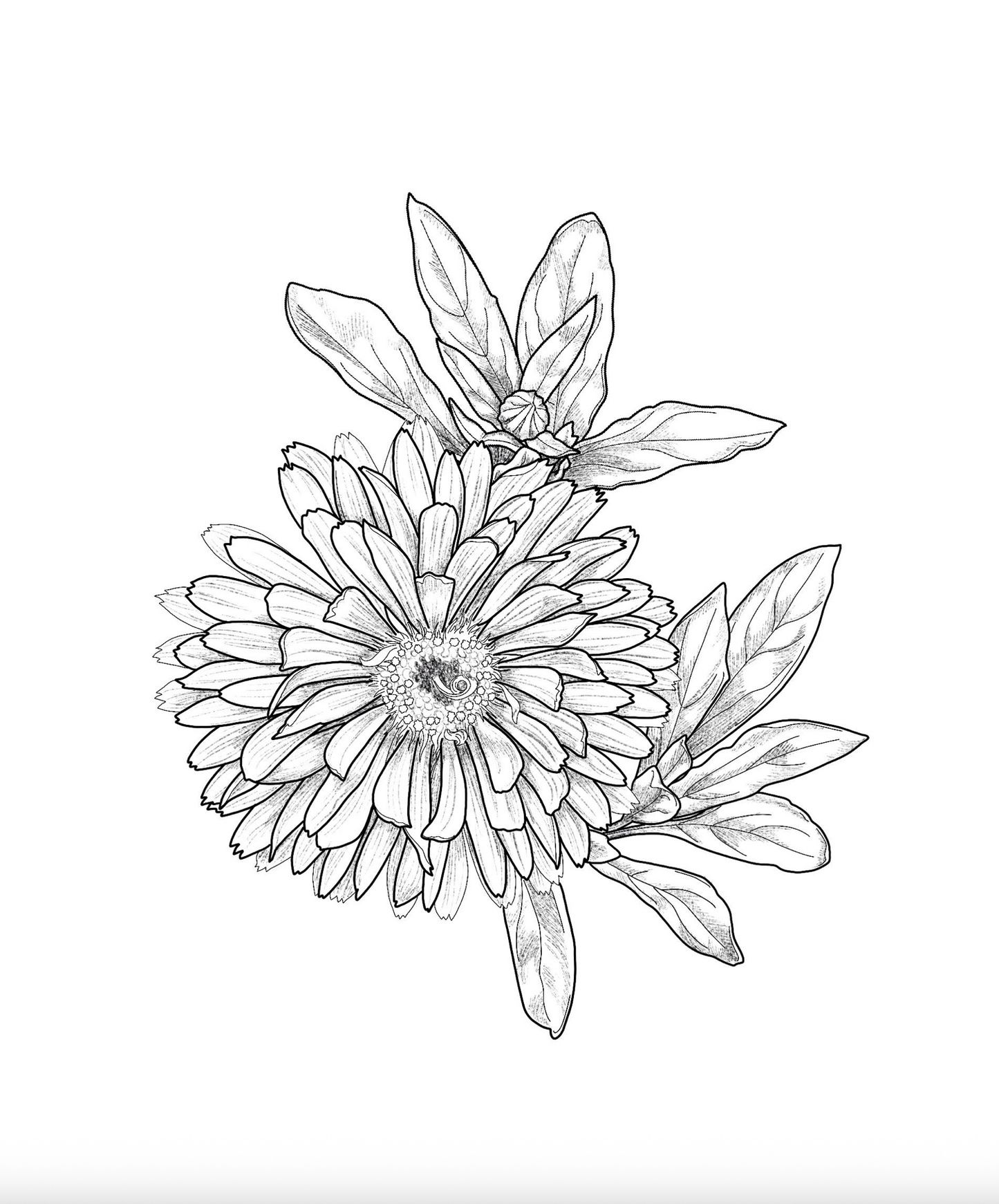 Xōchitlpili "Floral Coloring Book"