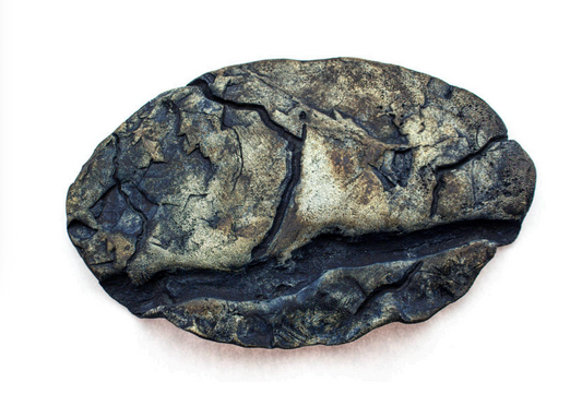 Megan March "Skin Impressions: Fossil Rocks and Roots"